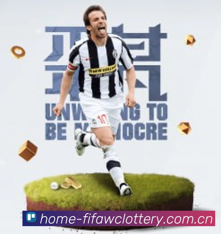 FIFA官方认证